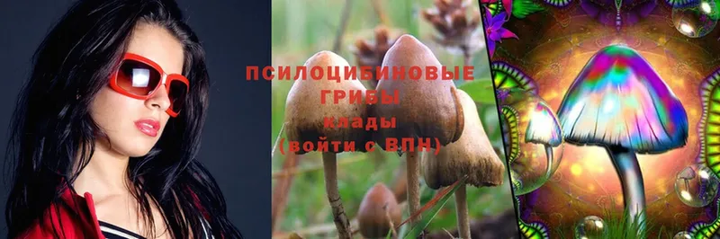 Псилоцибиновые грибы MAGIC MUSHROOMS  Вилюйск 